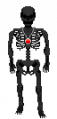 Thumbnail for version as of 18:32, 12 May 2025